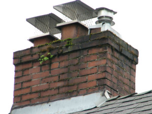 Picture of chimneys with top sealing dampers